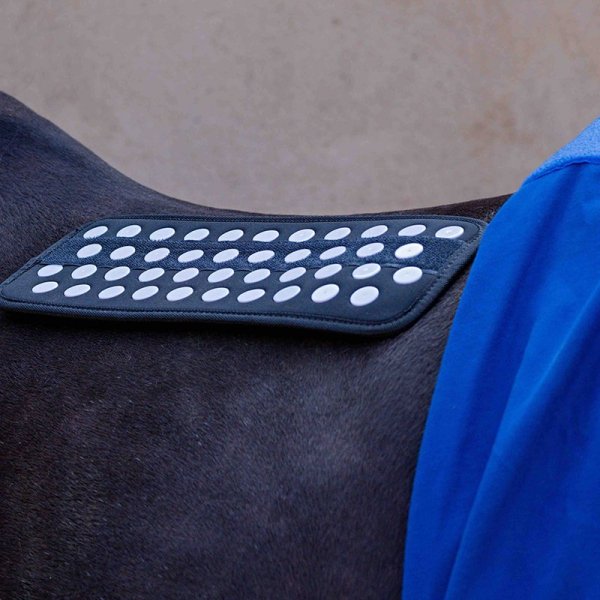 Derka terapeutyczna do akupresury - Accuhorsemat Original