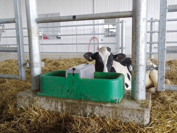 Poidło podgrzewane ISOBAC, 24V / 160W,  La Buvette