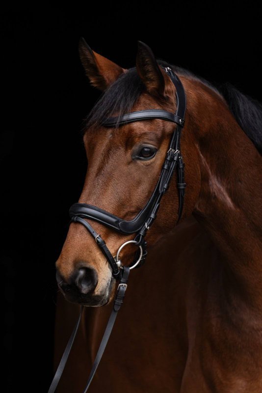 Ogłowie dla konia anatomiczne, czarny, Covalliero