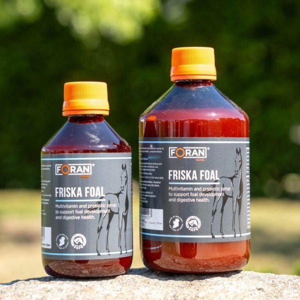 Foran Friska Foal 250 ml - Multiwitaminowy i prebiotyczny syrop wspomagający rozwój źrebiąt i zdrowie przewodu pokarmowego