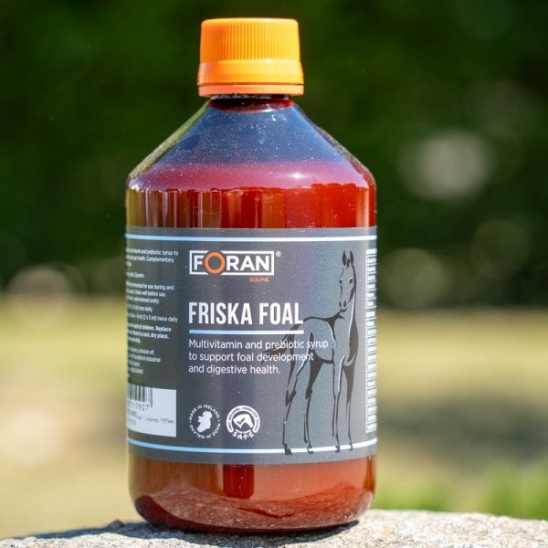 Foran Friska Foal 250 ml - Multiwitaminowy i prebiotyczny syrop wspomagający rozwój źrebiąt i zdrowie przewodu pokarmowego