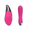 Zestaw Miniwibrator i Masażer Pro Delight Pink