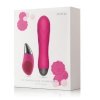 Zestaw Miniwibrator i Masażer Pro Delight Pink