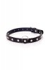 Fetish Boss Series - Collar 2 cm silver crystal