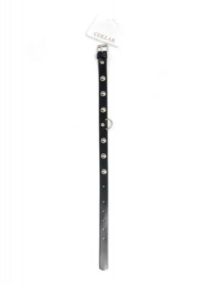 Fetish Boss Series Collar with studs 2 cm
