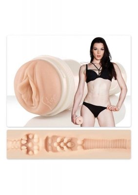 Masturbator Stoya Destroya Fleshlight