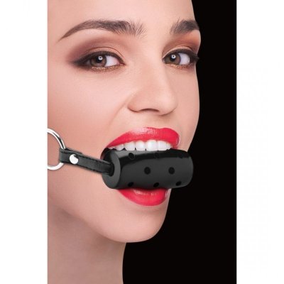 Cylinder Gag