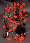 Zestaw startowy BDSM Lovetoy Starter Kit