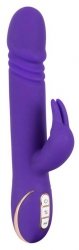 Rabbit skater purple
