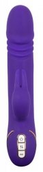 Rabbit skater purple