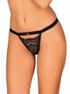 Obsessive Isabellia stringi  S/M