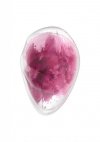 Masażer Satisfyer Cloud Dancer red print