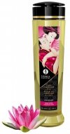 Massage oil amour sweet lotus