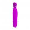 Mały dyskretny wibrator Pretty Love Boyce 10 funkcji 
