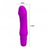 Mini wibrator Pretty Love Stev fioletowy 10 funkcji