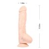 Naturalny penis dildo z przyssawką i jądrami duży 25,5 cm