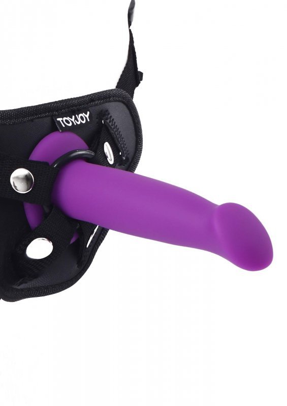 Goodhead dong 6 inch purple