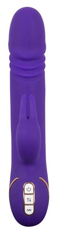 Rabbit skater purple