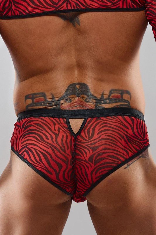 Męskie majtki brazyliany chippendales błyszczące - M