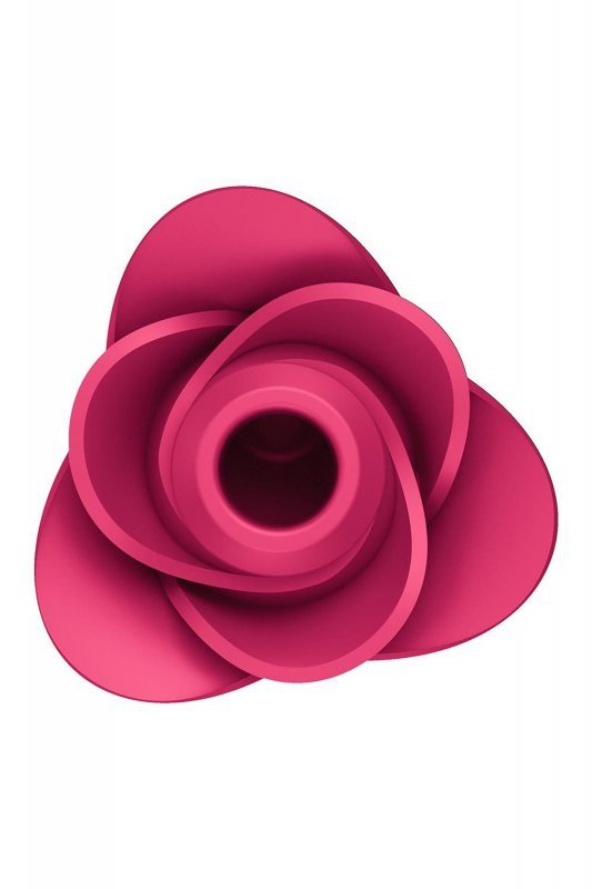 Masażer Satisfyer Pro 2 Modern Rose