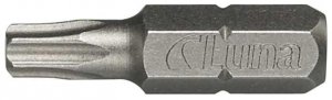 Groty Torx T10 (10 szt.)