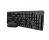 Zestaw klawiatura + mysz ODY II Wireless US