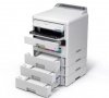 Drukarka EP-C800RDW kolor A4/34ppm/3.8pl/(W)LAN/PCL6