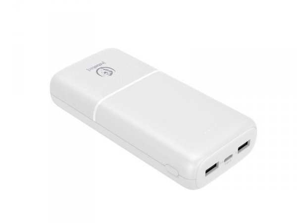 Powerbank P20 20 000mAh 10W