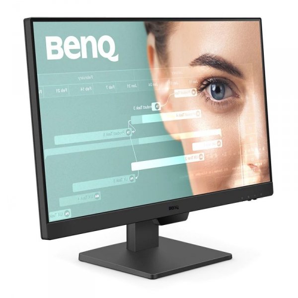 Monitor 23.8 cala GW2490  LED 5ms/IPS/100Hz/HDMI/czarny
