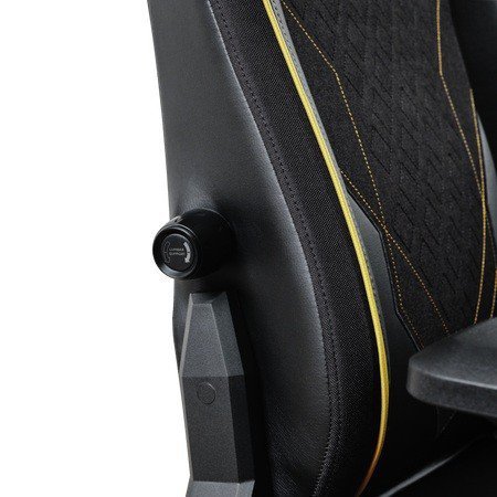 Fotel komputerowy GXT721 Ruya Pro Premium czarny