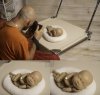 Newborn posing station - stół do pozycjonowania noworodków dla fotografa wersja moblina