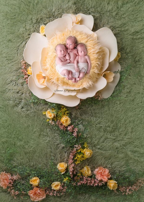 Newborn digital backdrop / tło cyfrowe Flower power