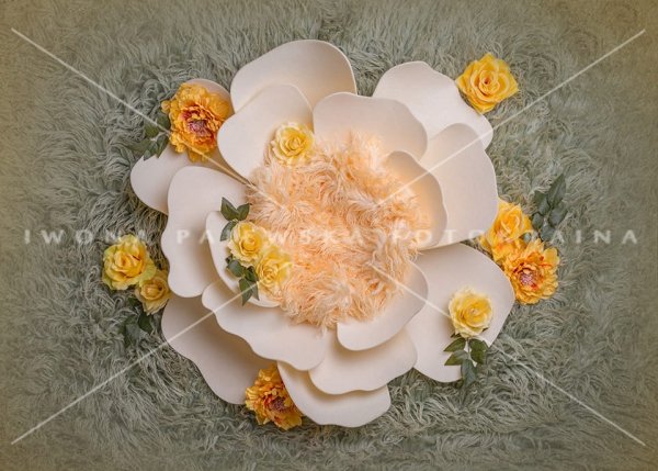 Newborn digital backdrop / tło cyfrowe kwiat