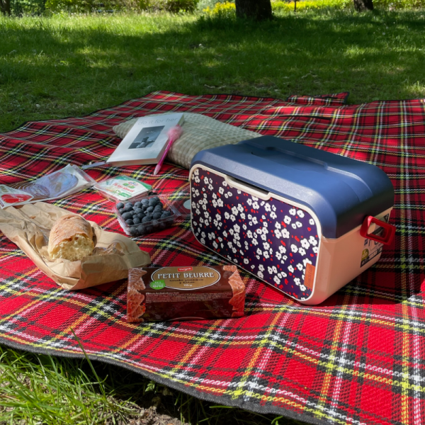 Mini lodówka turystyczna 5L KAMAI EDA wzór kwiat wiśni, lunchox na wkłady mrożące -  waniliowy korpus, czerwona rączka, błękitna