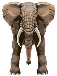 Latawiec BRAINSTORM - WNS SkyZoo 40x30'' Nylon Elephant