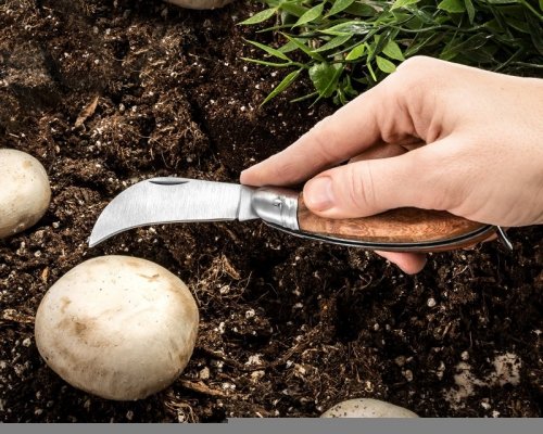 Nóż do ogrodu i na grzyby SIERPIEC