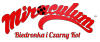 Miraculum: Biedronka i Czarny Kot