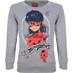 Bluza Biedronka i Czarny kot szara