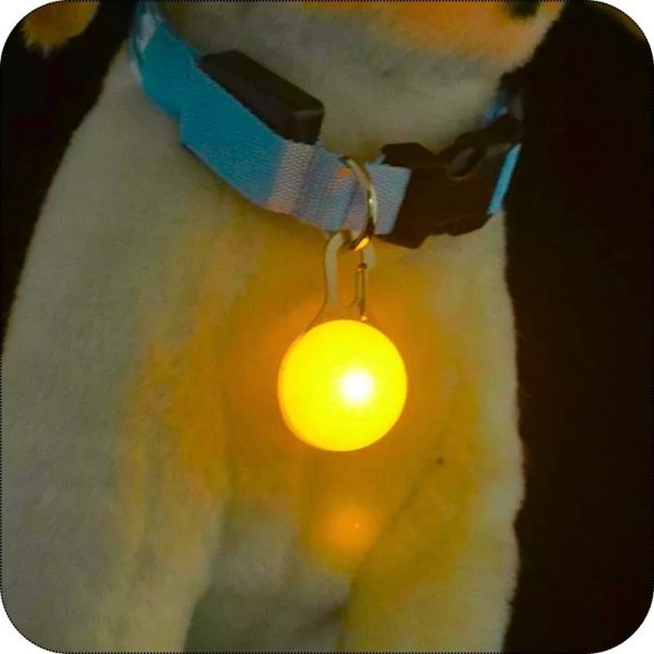 H2_tds0489_Lampka Led na obroże dla psa kota