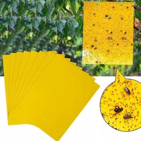 LEP DO DONICZEK SZKLARNI NA MSZYCE ZIEMIÓRKI MUSZKI MRÓWKI DO KWIATÓW 20X (tds0486)