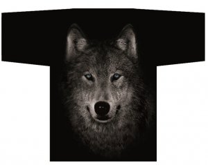 Koszulka T-shirt  Wilk niebieskie oko  XXL