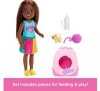 Mattel Lalka Barbie Chelsea