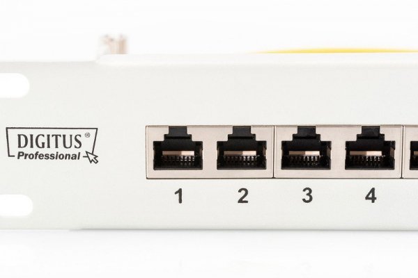 Digitus Patch panel 19&quot; 24 porty, kat.6, S/FTP, 1U, wspornik kablowy, szary (kompletny)