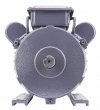 Silnik elektryczny jednofazowy 3kW 2800RPM PM-JSE-3000T