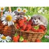 Puzzle 200 strawberry dessert