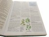 RODZINNA ENCYKLOPEDIA ZDROWIA 2002