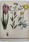 ROŚLINY TATRZAŃSKIE - Zofia Radwańska-Paryska 1988