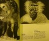 ZOO KRAKOWSKIE - Stanisław Czerny