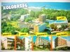 KOŁOBRZEG. BAŁTYK, MUSZELKA, CHALKOZYN, KIELCZANKA