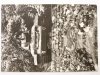 GDAŃSK – WESTERPLATTE. CZOŁG I PŁYTA PAMIĄTKOWA FOT. K. KAMIŃSKI